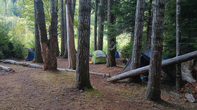 A few tents and hammocks tucked in between tall fir trees on the edge of an embankment. Below is the river valley.