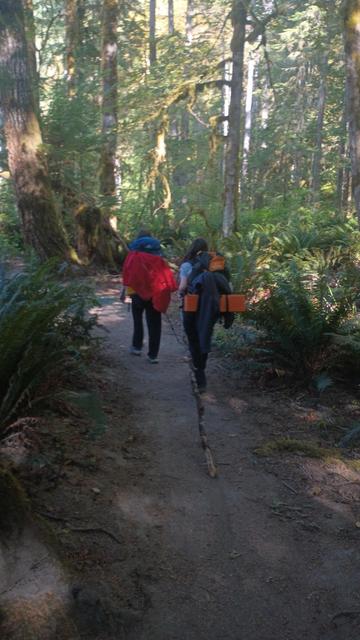 Two hikers in a forest. One is dragging a very long stick for unknown reasons.
