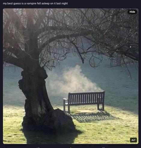 Screenshot of a posting of a park bench in the morning with clouds of steam rising from it
The caption reads
“My best guess is a vampire fell asleep on it last night”
