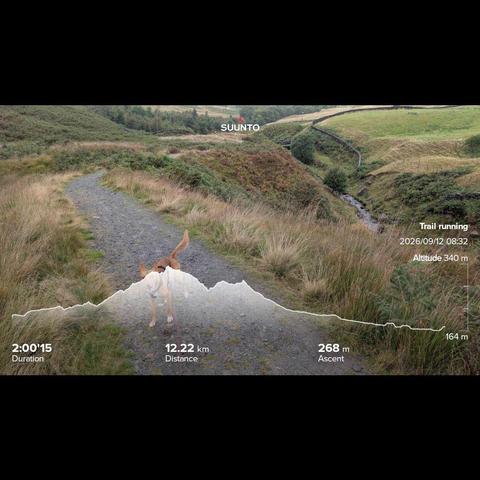 Wide'ish bridleway going down to a wooden bridge, that's nearly impossible to see in the green bushes and brackens, over a small river that runs in a somewhat deep gully. Penny is hidden under my running stats that is imprinted on top. She was soaked but still loves hunting for critters.