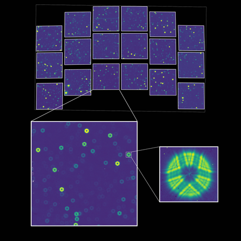 This test image captures the very first photons of starlight to reach the Wide Field Instrument on NASA’s Nancy Grace Roman Space Telescope. It was taken as an initial performance assessment with the detector array still stowed as it was for launch, far from best focus. Roman’s primary science instrument has opened its eyes to the universe for the first time, revealing a sea of out-of-focus stars, each spread out over many thousands of pixels. The image, which zooms into one detector and zooms again to a single star in the insets, offers a baseline the Roman team will work from to align the telescope’s optics and tune the focus. The team will soon activate the instrument’s fine-guidance system, which will mean Roman can lock onto targets. They’ll also focus the observatory, which will shrink each star’s light to appear as a crisp point, rather than the broad, donut-like features seen here (which appear as expected given the instrument’s present configuration). Roman’s science images, which NASA expects to release by early 2027, will be much sharper and reveal the cosmos in exquisite detail.

NASA’s Goddard Space Flight Center, Tyler Desjardins (STScI)