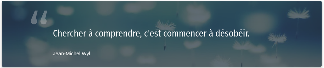 Chercher à comprendre, c'est commencer à désobéir. Jean-Michel Wyl
Voir sur https://citations.ouest-france.fr/citation-jean-michel-wyl/chercher-comprendre-commencer-desobeir-73650.html