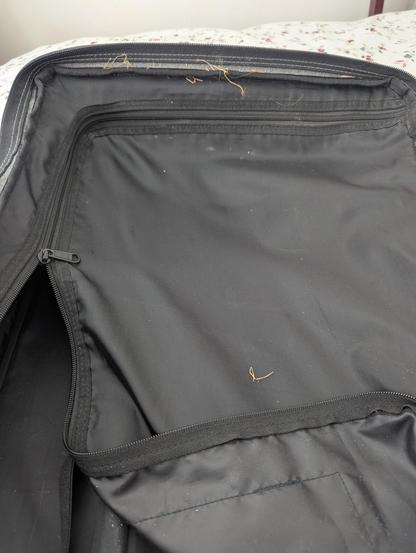 Inside wheelie suitcase with partially zipped compartment. Multiple blades of brown blades of grass.