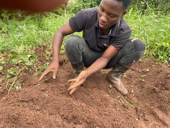 Planting tomato, cabbages, sukuma wick, spinach , onion and pumpkin seeds into the nursery beds.