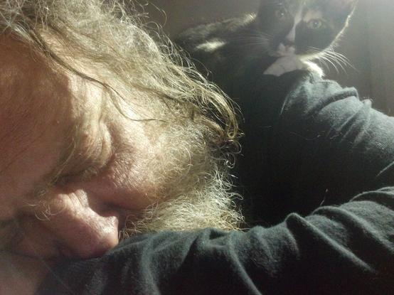 A small calico cat sitting on a sleeping yeti's back.