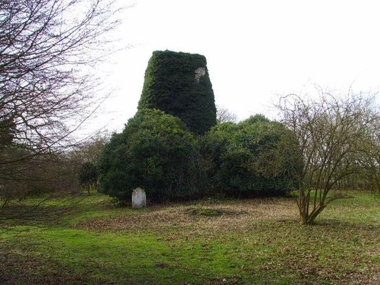 A ruined church overgrown with ivy. Image from Wikipedia because I didn't have my phone on me at the time.