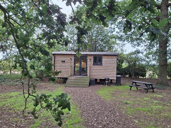 A cabin in a clearing surrounded by oak trees.