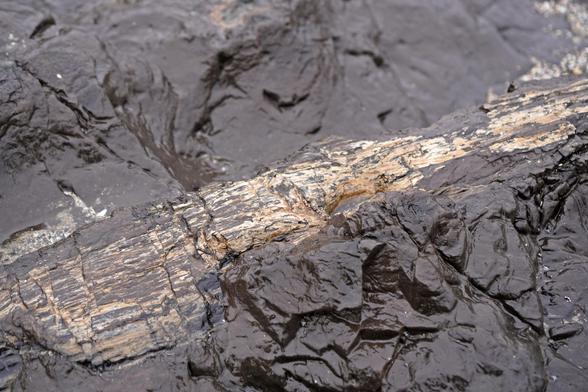 Looks like wood, but made of rock.