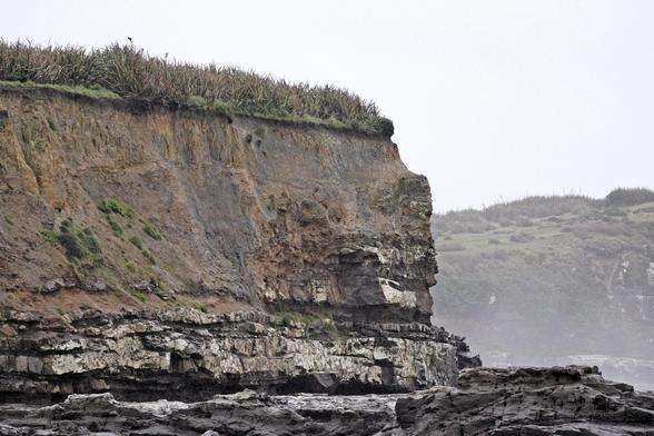 A cliff. There are plants growing on top. To the right there is rock. It looks more like a dirt cliff to the left. It's all pretty solid looking rock at the bottom. Generally a cloudy/rainy day.
