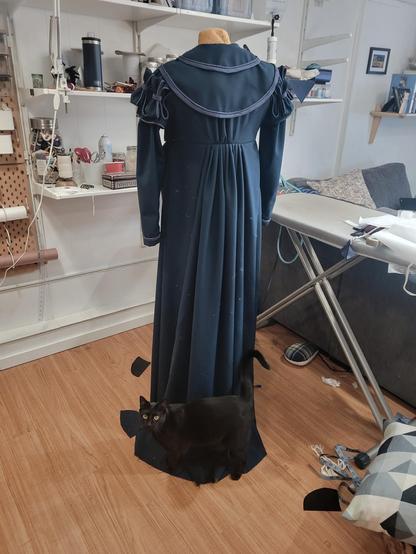 The dress put on my dress from,  from the back.

It is navy blue wool with lighter blue silk satin trim. The puff sleeves are fussy, with bows and cut outs. There is a short circular cape and collar. It has a high waist line in the back, with center back gathers meeting delicate pleats at in the skirt. The pleats form graceful folds down the back, that end puddled on the floor.

Nyx m, a black cat with bright yellow eyes, is standing on the skirt and looking right toward camera.