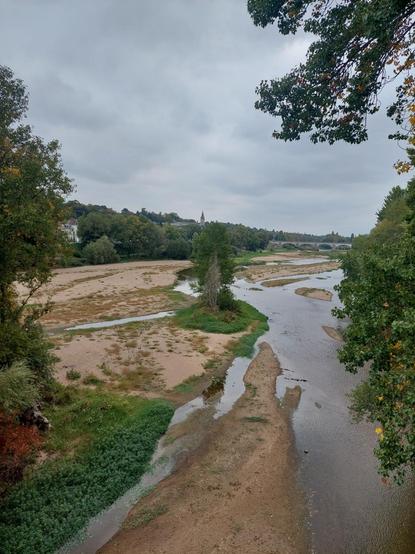 Paysage arboré de Loire: Fleuve presque à sec et ses bancs de sable
Îlot  accessible à pieds