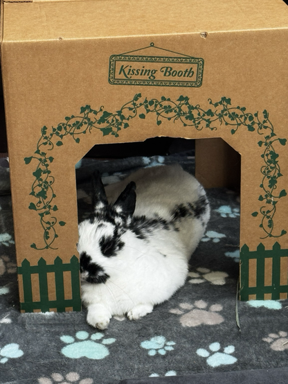 Sleepy bunny learns to one side, eyes closed, under a cardboard structure with the label Kissing Booth
