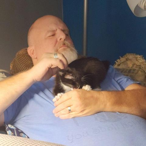 A black and white tuxedo kitten laying across the chest of a bald white man with a white beard. The kitten is licking the man's hand while her paws, claws out, are keeping it still. The man is scritching the kitten's shoulders with his other hand.