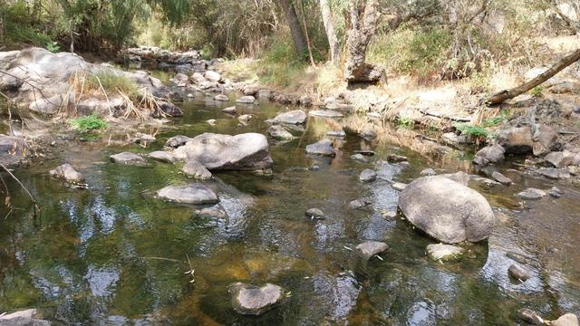 En la fotografía se ve un curso de aguas cristalinas. Se ve el fondo limoso de color verde y marrón. Hay cantos rodados enormes y más pequeños entre los que discurre el agua cantaría. Árboles que dan sombra y pececillos en los remansos.