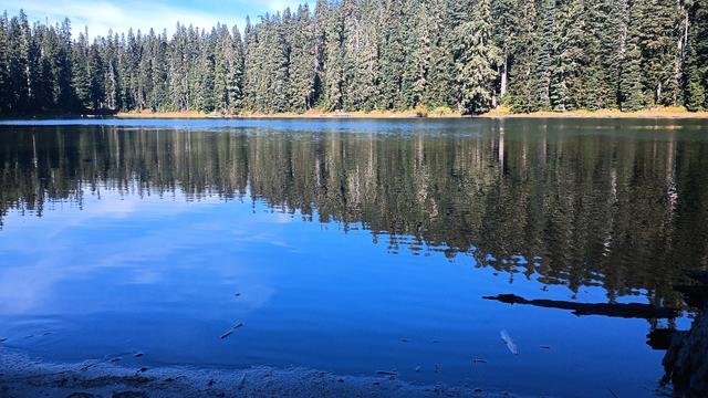 Glassy water of a lake reflecting the fir trees on the far side and the deep blue sky.