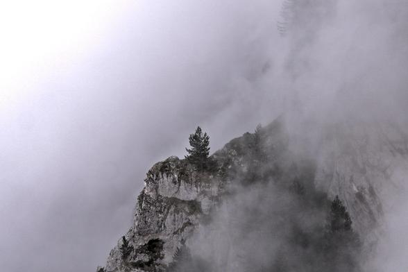 Across the chasm is another rocky ridge, with a small tree at the top of the cliff and below a ramp.