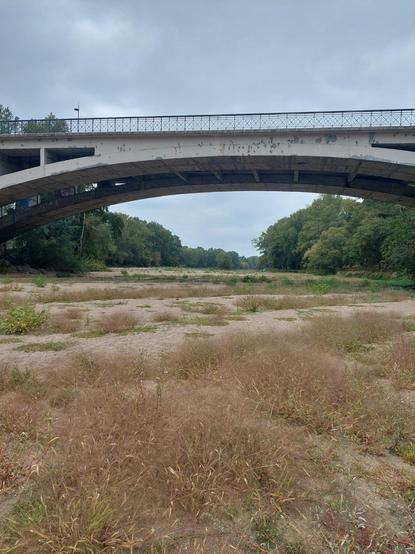 Banc de sable sous un pont