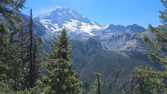 Fir trees frame a view of sweeping, green hills, leading to the jagged Northwest face of Mount Rainier and the mowich glacier.