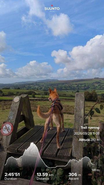 Penny standing on a wooden stile looking out over a valley just above her head and the horizon we can see Pendle Hill. Big fluffy clouds above. My running stats imprinted on top