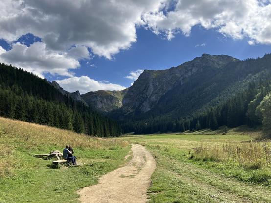 View from a mountain valley meadow, looking up the valley towards the mountains at the end of it. There's green grass, conifer forests in the back, a wide dirt path leading ahead, and some people sitting on the bench on the left.