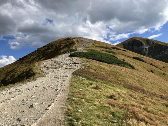 Going up a very gentle slope of a mountain with slopes covered with low yellowish grass, and a wide dirt/gravel path leading up. This is at around 1800 meters, high above the tree line, not far from the top.