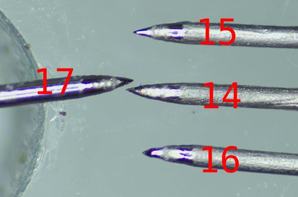 Micrograph of tips of 4 pointed objects, #17 on the left, #14,15,16 on the right. #14 and #17 have ogival points, #15 & #16 have stepped points.