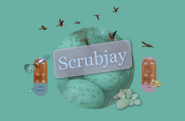 "SCRUBJAY" sits over a bunch of images of frogs, birds, doors. it's a very 90s look.