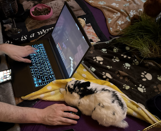 Bunny watches BunDad intently as they play Minecraft on a laptop