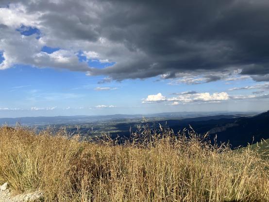 View from the mountain on the landscape below, obscured a bit by tall golden grass in the foreground, and above there's blue sky with some rather dark gray clouds.