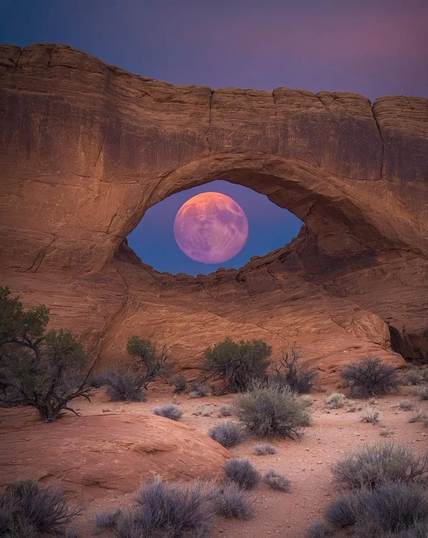Photograph of a massive natural red rock arch in a desert landscape during twilight. A large, vibrant pink full moon is framed precisely within the center of the rock opening against a deep blue and violet sky. In the foreground, sandy red terrain is scattered with sparse desert brush and dry shrubs under the soft evening light.