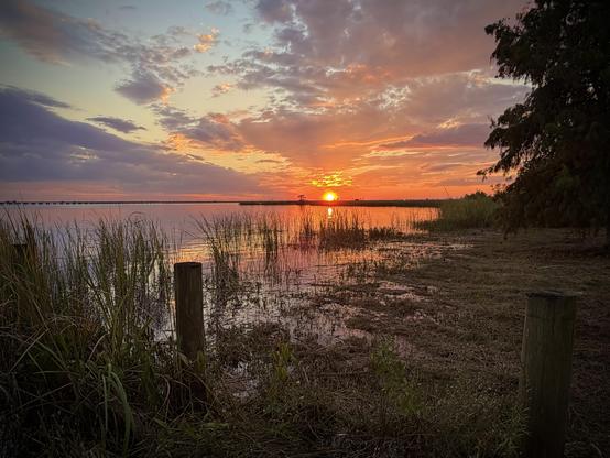 Glowing orange sunset with darker clouds surrounding at water’s edge near Mobile, Alabama. Foreground shows shallow water with tall grass  reeds, and a fence post close to the camera: right edge shows dark trees silhouetted against the brilliant sky.