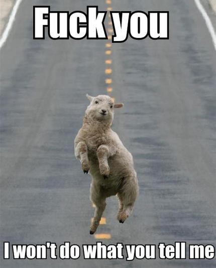 image macro of a jumping shee with header title: Fuck you
Bottom caption: I won't do what you tell me xD

saurce unkown stolen aeons ago from the real interwebz