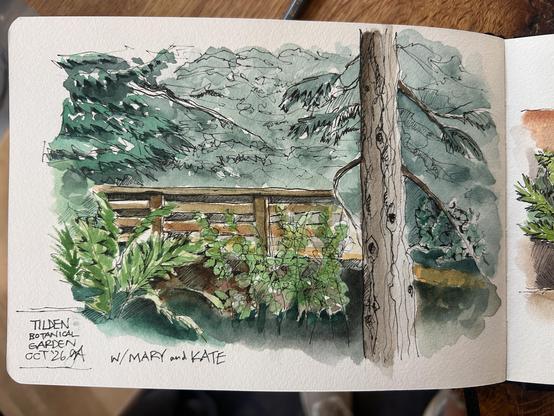 Sketch of a forest scene with a bridge