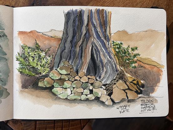 Sketch of a tree trunk and rocks