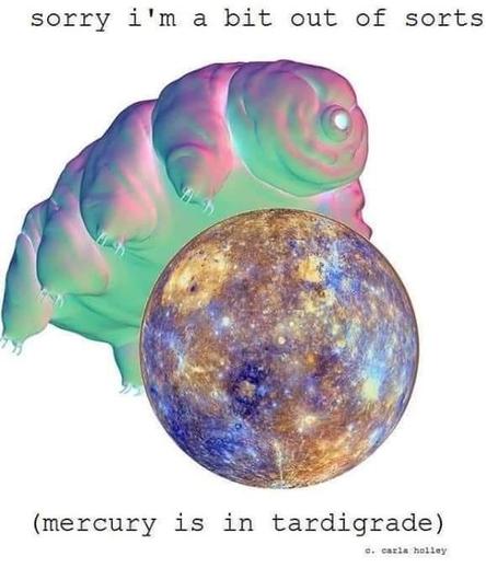 A surreal meme shows a brightly colored tardigrade looming behind the planet Mercury.
At the top:
“sorry i'm a bit out of sorts”
At the bottom:
“(mercury is in tardigrade)”
It’s a pun on the astrology phrase “Mercury is in retrograde”, replacing retrograde with tardigrade.
So instead of blaming cosmic misalignment for being frazzled, we are apparently blaming a microscopic water bear.