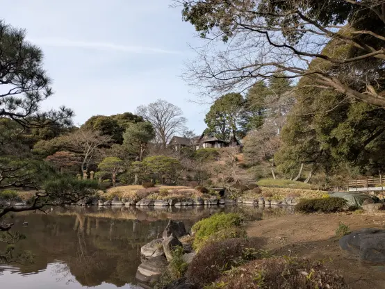 Photo: In the Kyu-Furukawa Gardens, Tokyo, a japanese garden and pond. Beyond the pond, an uphill path with stone steps. In the back, a western-style mansion, with several tall trees around it.