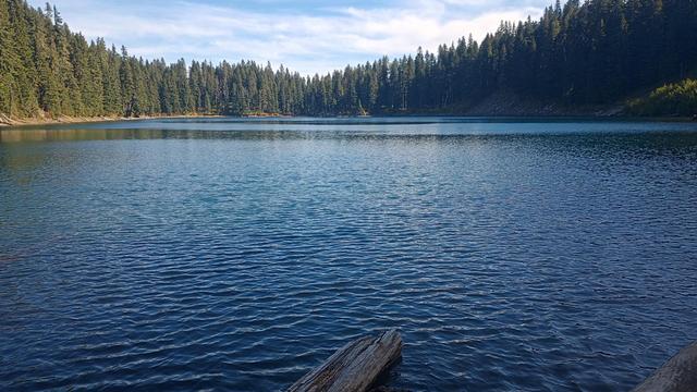 Wind riffles the water of a deep blue lake surrounded by fir trees.