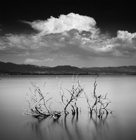 A black and white photograph of branches rising from the water of Lake Henshaw, East County San Diego, California. Monsoon clouds build over mountains in the distance.