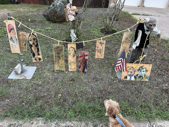 Guapo, a tan dog on his morning walk, admiring a lineup of 9 paintings on wooden planks hanging from a string as part of a mostly political Halloween decoration. 

1. On the left is a painting of Donald Trump wearing a red MAGA hat with a caption reading “white Christian nationalist vision” at the bottom. 
2. Next is an outline of the middle-finger salute with the caption “Ken Paxton” at the top and “Vote Talarico” at the bottom. 
3. Third is a painting of a woman, perhaps AOC with long black hair, giving the middle-finger salute and captioned “Ken Paxton” at the bottom.
4. Fourth is a rough painting of the Texas capitol building with a US flag flying and the caption “Talarico belongs here.”
5. Next is a painting of the head of woman with black hair and text reading “Paxton is a gun-toting, gay-bashing, science-denying, money-loving, fear-mongering fascist. Vote Talarico.”
6. Sixth is a hand giving a middle-finger salute with the US flag in the background. The name “Greg” appears at the top of the piece. 
7. Seventh is a rough painting of what appears to be a crowd carrying a cross with a US flag flying and the Texas capitol building in the scene. A caption begins with “Christian nationalism…” but is mostly illegible. 
8. Eighth is a painting of a house with the caption “Talarico owns one home.”
9. Last is a painting of Donald Trump and The Joker from Batman side by side