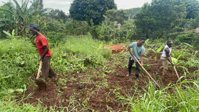 Young farmers from Fill the Empty Stomachs Farming Initiative cultivating the land to prepare to have mature seedlings planted in them.