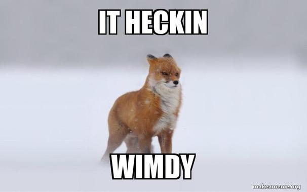 "It heckin wimdy"
A red fox braced for the wind on a snowy background