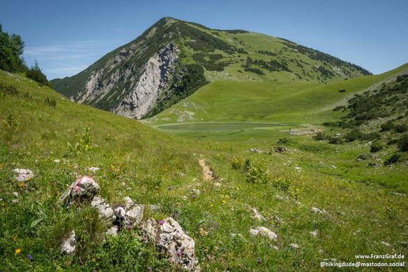 A breathtaking alpine panorama unfolds under a vast, azure sky, where soft wisps of cloud drift lazily overhead. Rolling emerald hills stretch out in gentle waves, their vibrant green hues contrasting beautifully with the rugged, rocky face of a towering mountain peak. Wildflowers dot the landscape, adding splashes of delicate color to the lush meadow, while a tranquil stream meanders through the valley below, reflecting the sunlight like liquid silver. The scene exudes a sense of peaceful solitude, as if nature itself has paused to breathe. A faint trail winds through the grass, inviting hikers to explore this idyllic corner of the world, where every step promises another stunning vista.