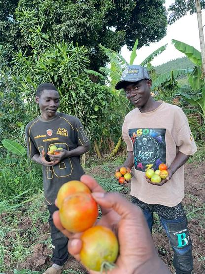 Holding maturely grown tomatoes by the young farmers from Fill the Empty Stomachs Farming Initiative