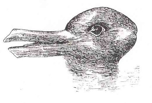 Canard-lapin, figure ambiguë qui peut être interprétée soit comme un canard soit comme un lapin