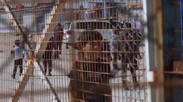 Des enfants derrière les grilles d’un camp.