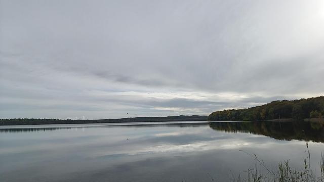 Horizontal pic of a perfectly still, quiet and cold morning at my favourite swimming lake. The water is mirror smooth, the surface glassy cold, reflecting the low light and blanketing clouds as a single grey heron parachutes low over the water near center frame. Along the horizon, the curvaceous bodies of trees line the peninsula, slowly turning brown with the passing of the year