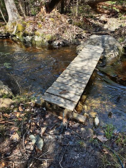 A boardwalk crossing a side stream, one end in deep mud, the other on a big rock with a ditch beyond.