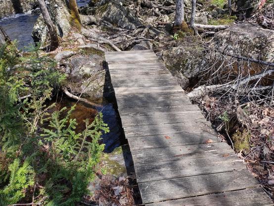 Another boardwalk, this one ending in a big tangle of roots and rocks.