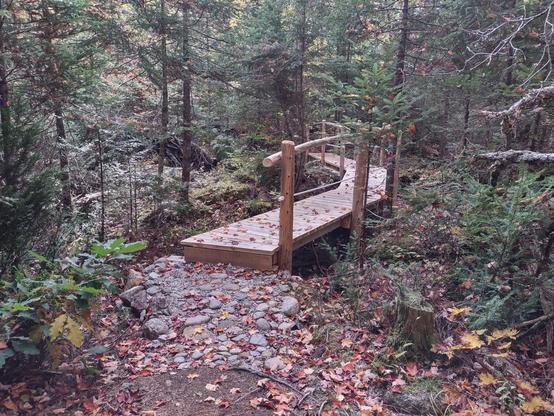 A beautiful long boardwalk bridge with a handrail over what used to be some very tricky trail. They've done a bunch of nice rock work to make an easy entrance to the bridge.
