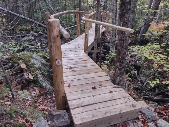 An even longer bridge, with two handrails.